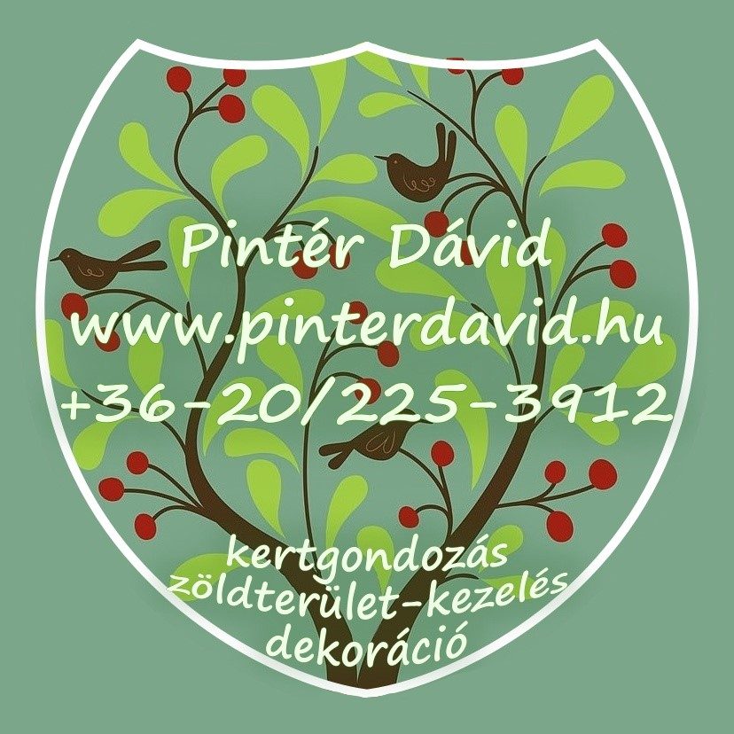Pintér Dávid - kertápolás, kertgondozás, zöldterület-kezelés - 